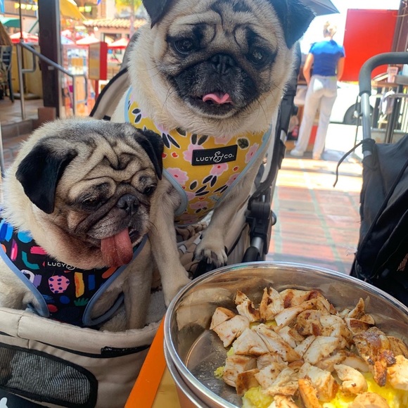 Meet your Posher’s, CHAI & ABIGAIL! - Picture 3 of 12